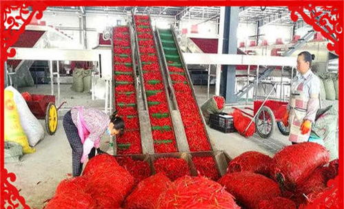 農村創業新機遇 干好這幾個農副產品加工項目，不愁沒錢賺