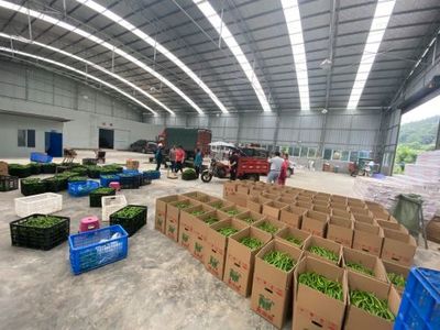 孫傳榮 走出產業融合發展之路，農副產品的創新與突破