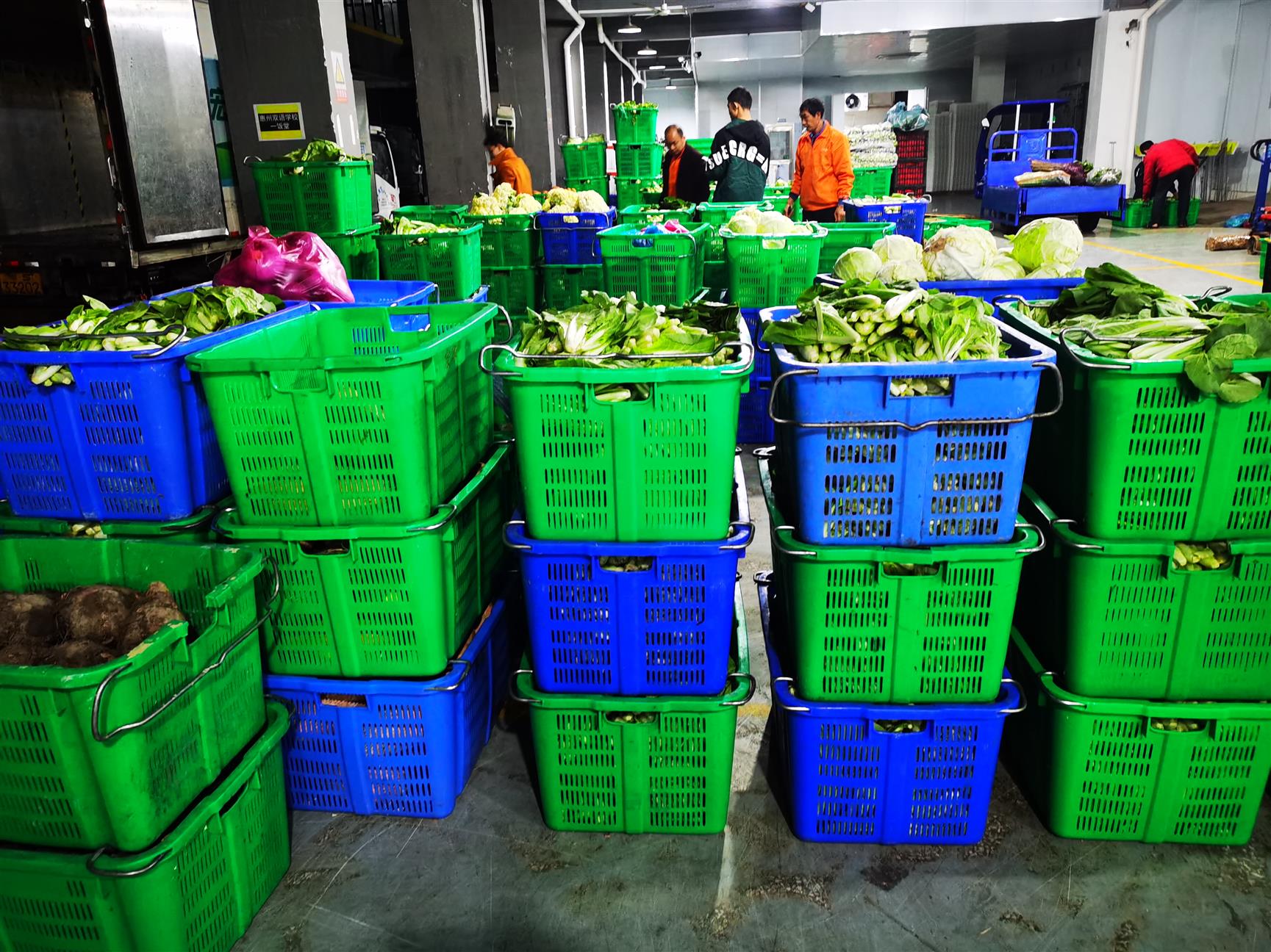 虎門鎮農副產品配送 按需供應，高效便捷的蔬菜批發服務