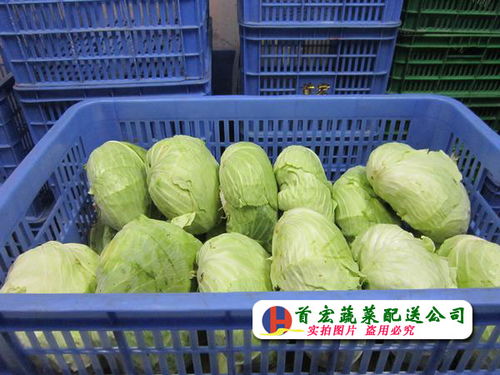 中堂農副產品批發市場2017年3月17日交易動態與市場觀察