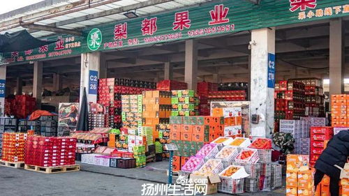 658畝大型商業(yè)地塊亮相，揚(yáng)州這一區(qū)域展現(xiàn)農(nóng)副產(chǎn)品流通新野心