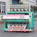 解鎖糧食加工新高度 河北榮祥雜糧色選機開啟智能升級之路